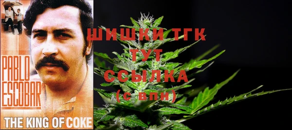 спиды Карпинск